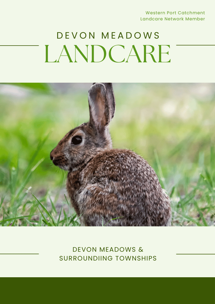 DevonMeadowsLandcare-brochure