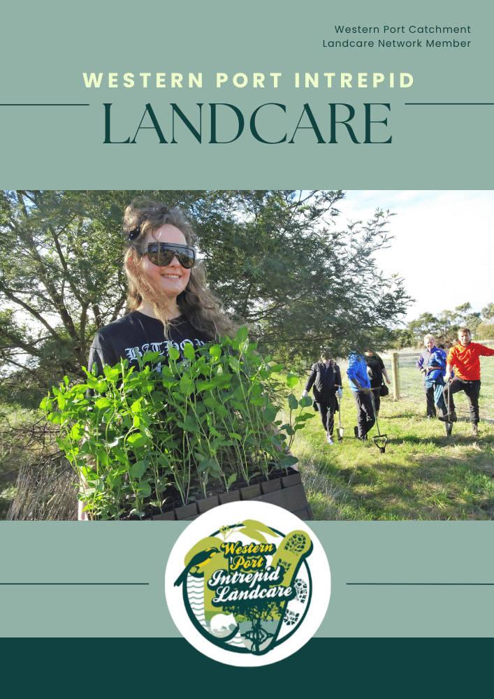 Western Port Intrepid Landcare Group brochure